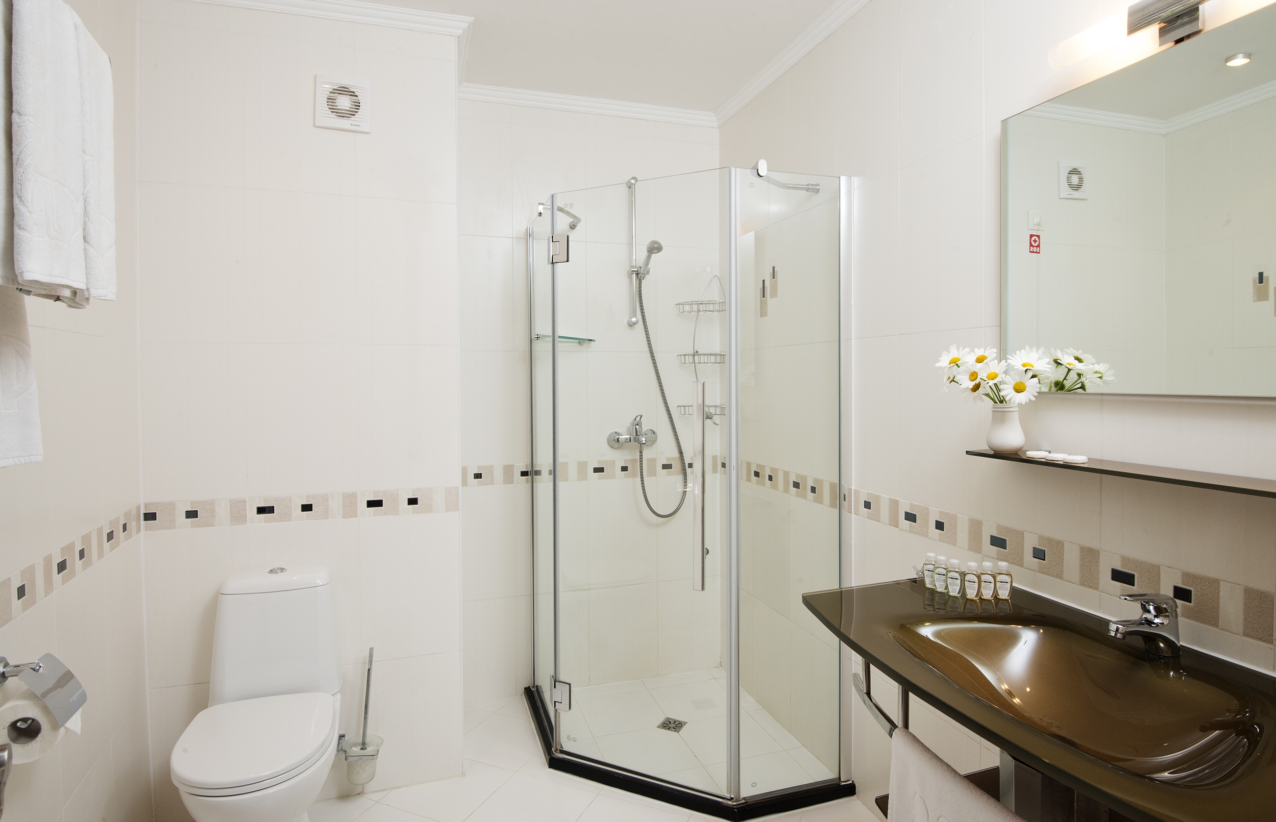 Room image 1 - Štandardná izba Large