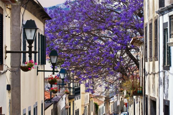 Radničné námestie s radnicou v meste Funchal, Madeira.